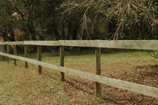 Serene rural scene with a wooden fence and lush greenery, perfect for nature lovers.